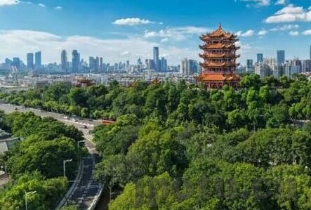 大象传媒vip兑换码分享-探索大象传媒VIP兑换码的奥秘，解锁优质内容的钥匙