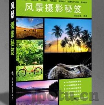 国产麻豆传媒-探索国产麻豆传媒的崛起与创新路径